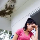 Business 1 image WATER DAMAGE EXPERTS OF DIRT CITY Water Damage Restoration Service in Richmond VA