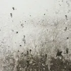 Business 6 image WATER DAMAGE EXPERTS OF DIRT CITY Water Damage Restoration Service in Richmond VA