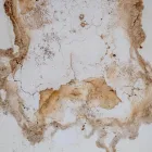 Business 7 image WATER DAMAGE EXPERTS OF DIRT CITY Water Damage Restoration Service in Richmond VA