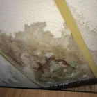Business 8 image WATER DAMAGE EXPERTS OF DIRT CITY Water Damage Restoration Service in Richmond VA