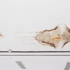 Business 11 image WATER DAMAGE EXPERTS OF DIRT CITY Water Damage Restoration Service in Richmond VA