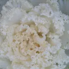 Business 4 image WEATHERFORD GARDENS Nurseries-Plants & Trees in Weatherford TX