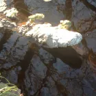 Business 1 image WEATHERFORD GARDENS Nurseries-Plants & Trees in Weatherford TX