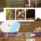 Business 11 image WEBDESIGN309.COM ST. PETERSBURG Website Developer in St. Petersburg FL