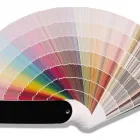 Business 16 image WEBSTER WALLPAPER PAINT & BLINDS Wallpaper & Wallcovering Installation & Removal in Bronx NY