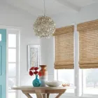 Business 17 image WEBSTER WALLPAPER PAINT & BLINDS Wallpaper & Wallcovering Installation & Removal in Bronx NY