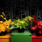 Business 1 image WEDDING FLOWERS NYC in New York NY