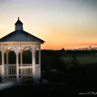 Business 4 image WEDGEWOOD AT METRO Wedding Supplies & Services in Oakland CA