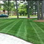 Business 1 image WEED FREE LAWNS in Oklahoma City OK