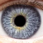 Business 1 image WELLISH VISION INSTITUTE Physicians & Surgeons, Ophthalmology in Las Vegas NV