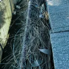 Business 6 image WESCO GUTTERS INC. in Los Angeles CA