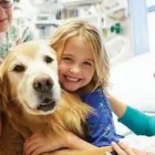 Business 2 image WESTCHESTER FAMILY CARE INC. in Mamaroneck NY