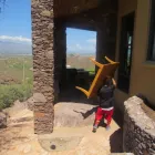 Business 12 image WHAT DON'T WE DO? MOVING AND CLEANING SERVICES Transportation Services in Tucson AZ