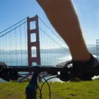 Business 1 image WHEEL FUN RENTALS - PIER 43.5 Bicycle Rental in San Francisco CA