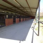 Business 3 image WHITE FENCES EQUESTRIAN CENTER Horseback Riding Center in Manor TX