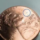 Business 12 image WICKER PARK EYE CENTER in Chicago IL