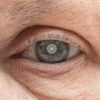 Business 27 image WICKER PARK EYE CENTER in Chicago IL