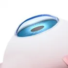 Business 29 image WICKER PARK EYE CENTER in Chicago IL