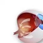 Business 36 image WICKER PARK EYE CENTER in Chicago IL