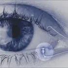 Business 46 image WICKER PARK EYE CENTER in Chicago IL