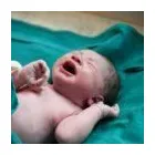 Business 1 image WILLENS INJURY LAW OFFICES Personal Injury Lawyer in Chicago IL