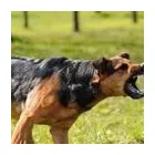 Business 11 image WILLENS INJURY LAW OFFICES Personal Injury Lawyer in Chicago IL