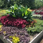 Business 5 image WINDING WAY LANDSCAPING in Noblesville IN