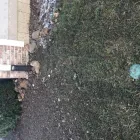 Business 9 image WINDING WAY LANDSCAPING in Noblesville IN
