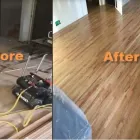 Business 8 image WOOD FLOOR PROZ, LLC Wood Floor Staining in Livonia MI