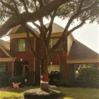Business 5 image XTRAC RESTORATION in Houston TX