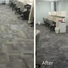 Business 2 image YANIVET CLEANING SERVICES in Deltona FL