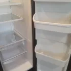 Business 4 image YANIVET CLEANING SERVICES in Deltona FL