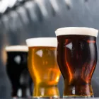 Business 1 image YARD HOUSE Restaurant in King Of Prussia PA