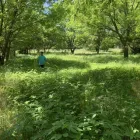 Business 1 image YARD SHARKS Mulch Installation in Weatherford TX