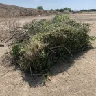 Business 4 image YARD SHARKS Mulch Installation in Weatherford TX