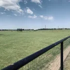 Business 7 image YARD SHARKS Mulch Installation in Weatherford TX