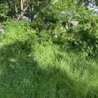 Business 9 image YARD SHARKS Mulch Installation in Weatherford TX