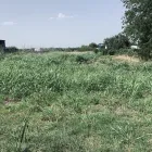 Business 17 image YARD SHARKS Mulch Installation in Weatherford TX