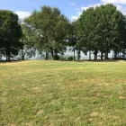 Business 21 image YARD SHARKS Mulch Installation in Weatherford TX