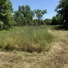 Business 23 image YARD SHARKS Mulch Installation in Weatherford TX