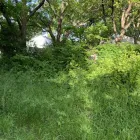 Business 25 image YARD SHARKS Mulch Installation in Weatherford TX