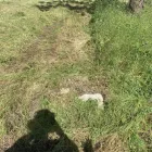 Business 27 image YARD SHARKS Mulch Installation in Weatherford TX