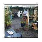 Business 2 image ZAZIE Restaurants in San Francisco CA