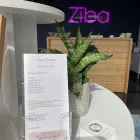Business 26 image ZIBA SALON AND SPA Eyelash Lift and Tint in Oklahoma City OK