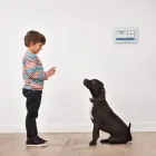 Business 1 image ZIONS SECURITY ALARMS - ADT AUTHORIZED DEALER Security Systems in Stockton CA