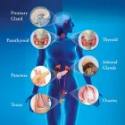 Business 2 image ZUBAIR MIRZA MD in Houston TX