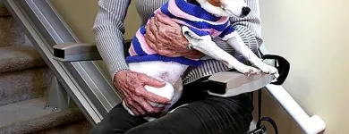 Business 1 image 101 MOBILITY Stair Contractor in Indianapolis IN