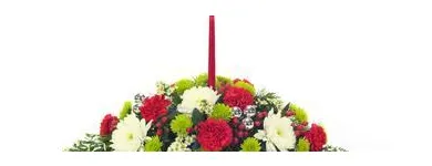 Business 7 image A ALWAYS FLORIST & GREENHOUSE Wedding Supplies & Services in Chicago IL