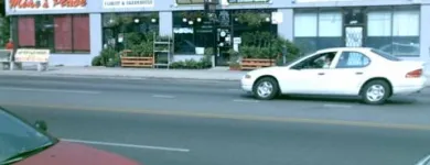 Business 2 image A ALWAYS FLORIST & GREENHOUSE Wedding Supplies & Services in Chicago IL