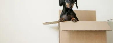 Business 6 image A CALVARY MOVING & STORAGE in Tucson AZ